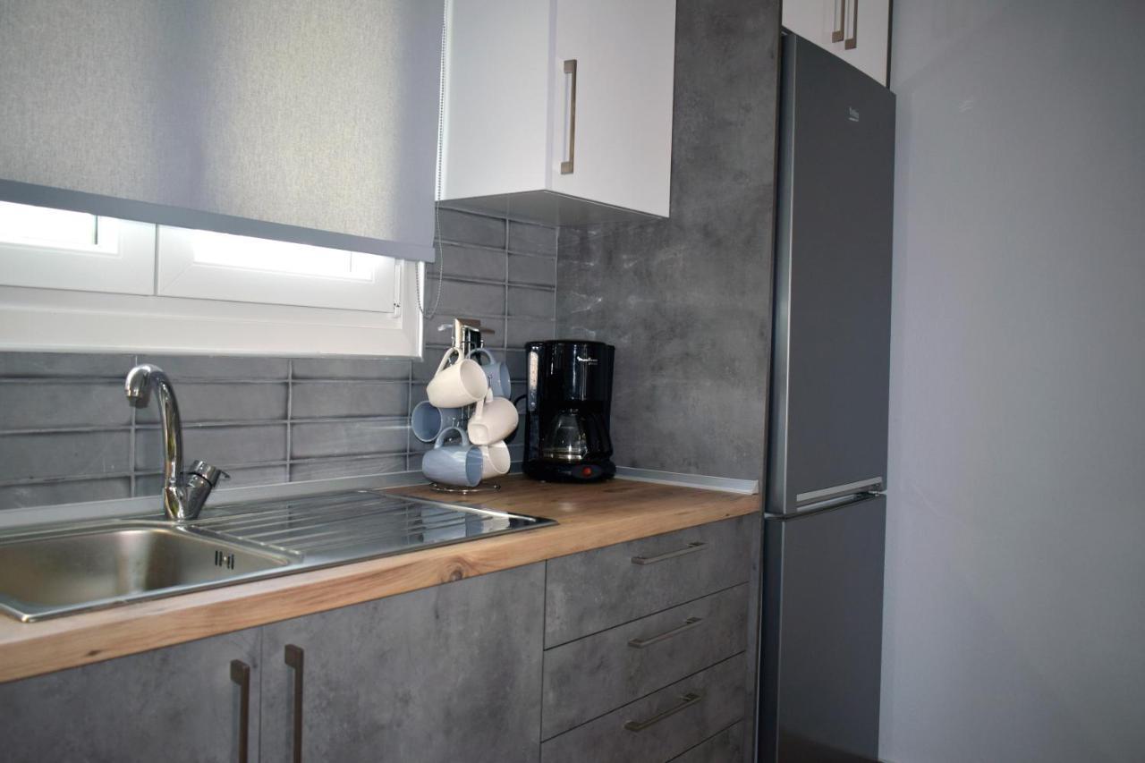Apartment Thea Nea Karvali